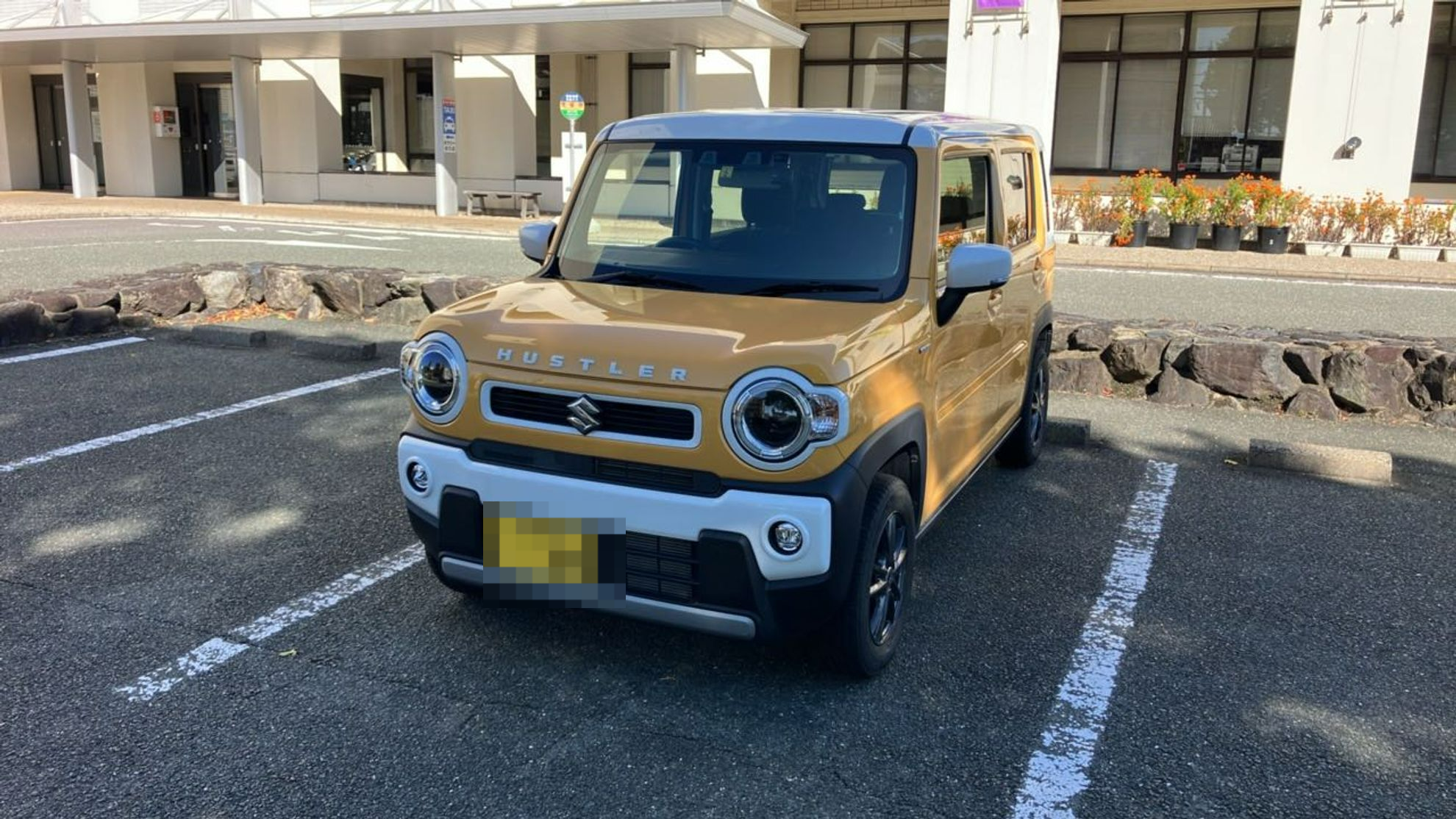 2024年11月成約のハスラー ハイブリッドＸのメイン画像