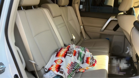 内装後方シート