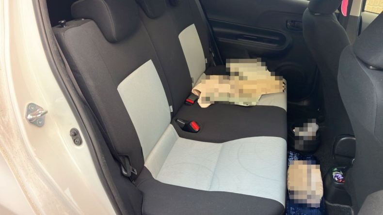 内装後方シート