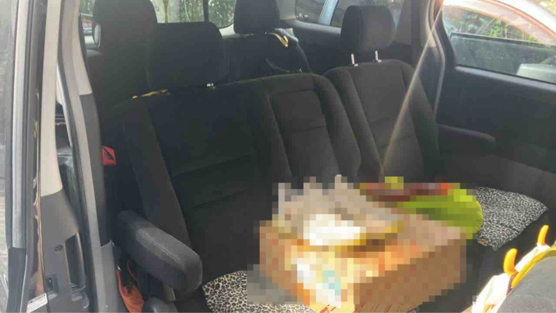 内装後方シート