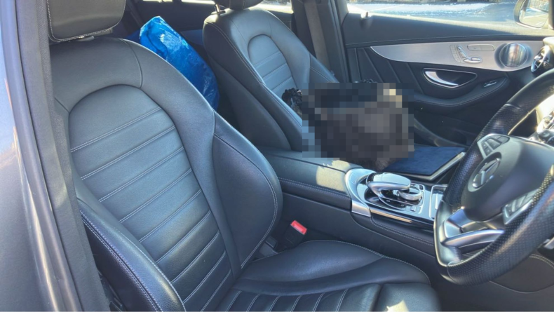 内装前方シート