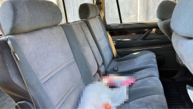 内装後方シート