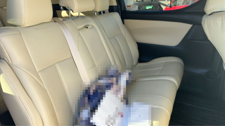 内装後方シート