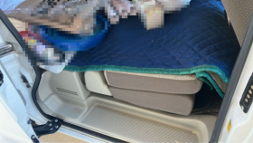 内装後方シート