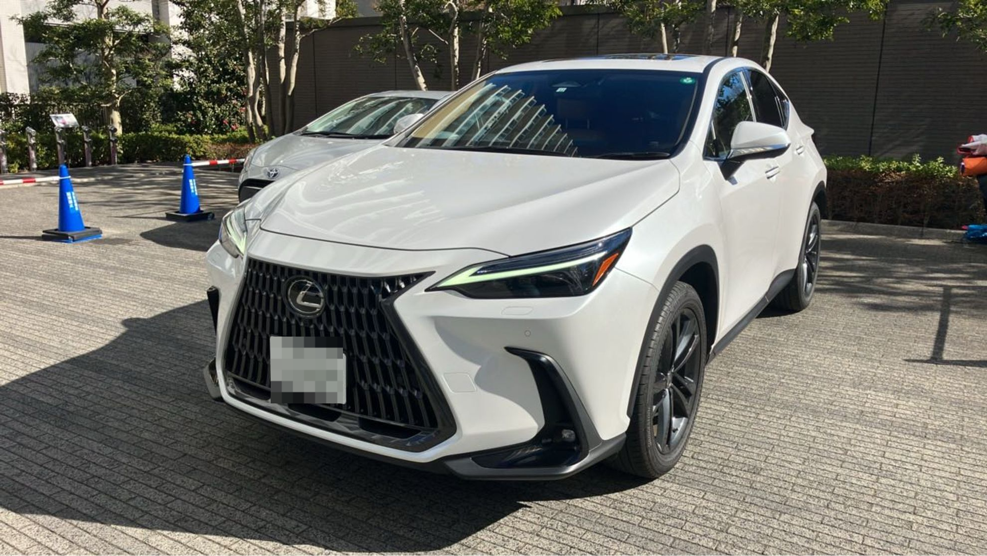 2025年2月成約のNX NX250 バージョンLのメイン画像