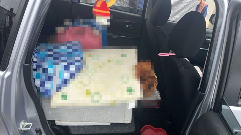 内装後方シート