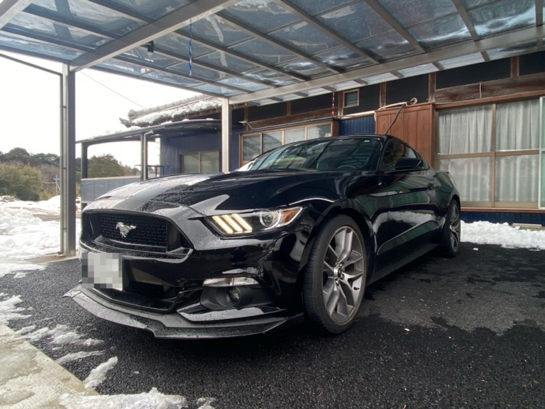 フォード マスタングの売買実績画像