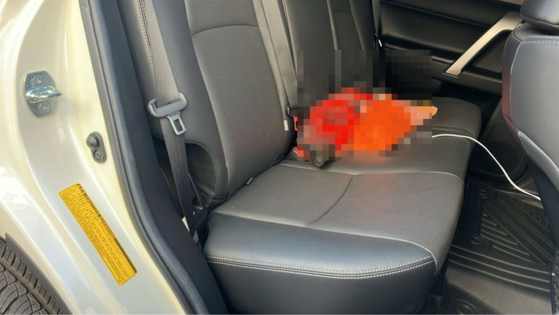 内装後方シート