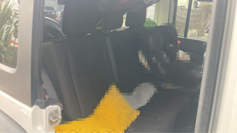 内装後方シート