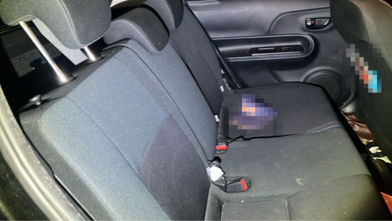 内装後方シート