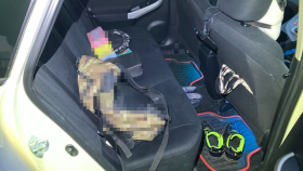 内装後方シート