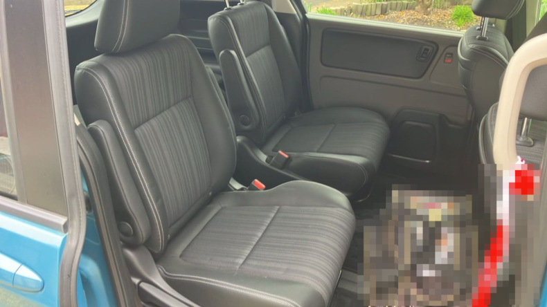 内装後方シート