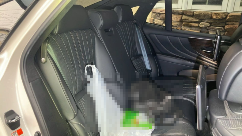 内装後方シート