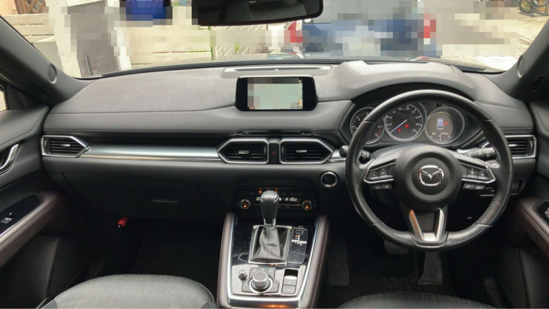 内装インパネ全体