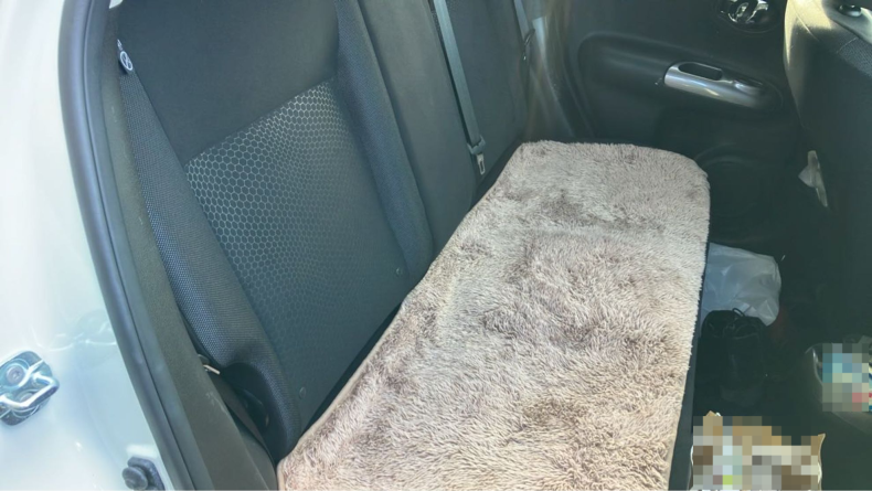 内装後方シート