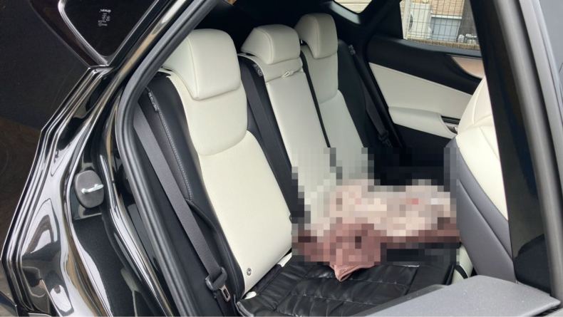 内装後方シート