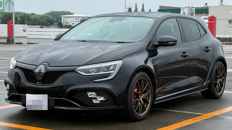 ルノー メガーヌの売買実績画像