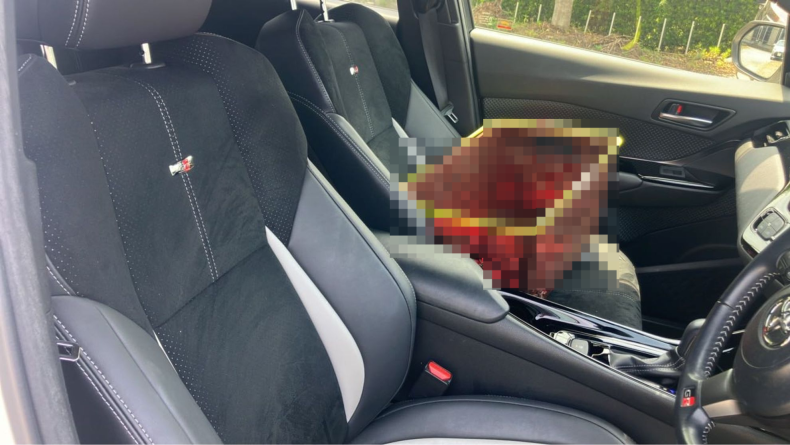 内装前方シート