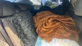 内装後方シート