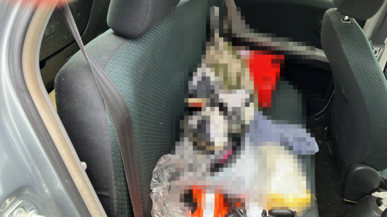 内装後方シート