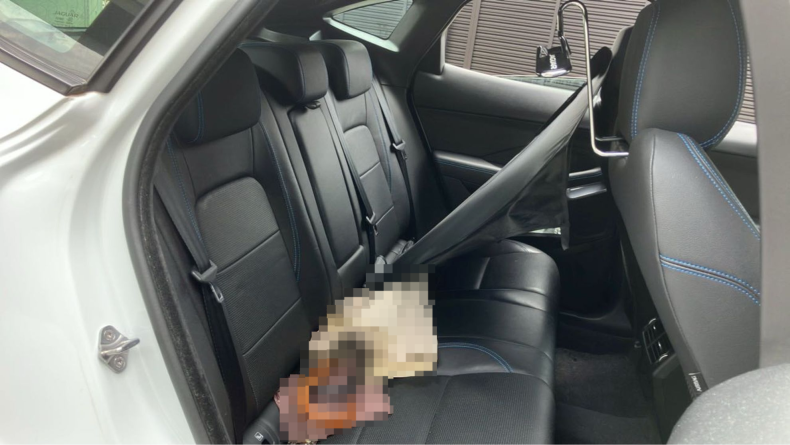 内装後方シート