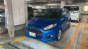 ヨーロッパフォード/フィエスタ-291065