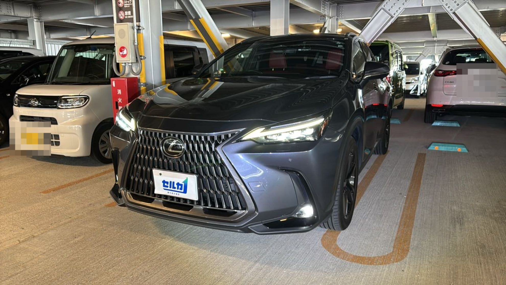 2025年9月成約のＮＸ ＮＸ２５０ バージョンＬのメイン画像