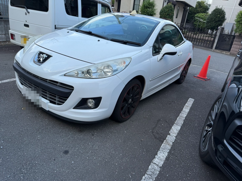プジョー 207の売買実績画像