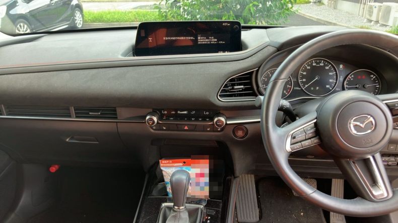 内装インパネ全体