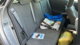 内装後方シート