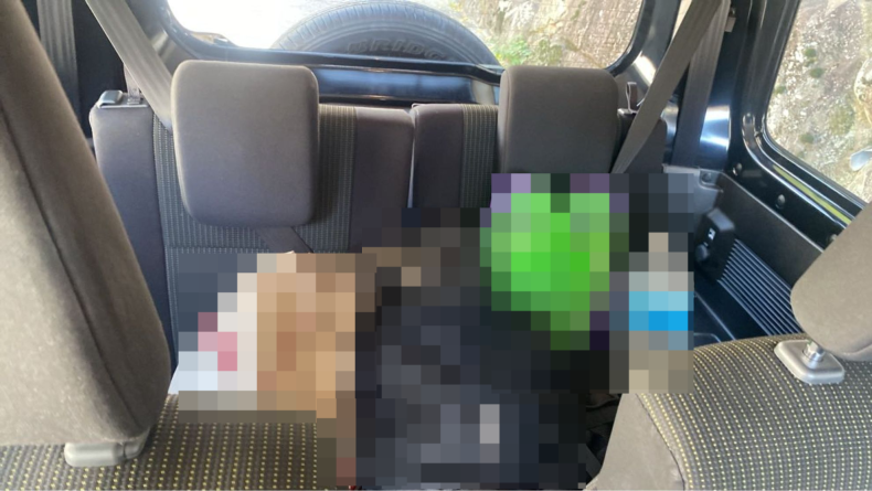 内装後方シート