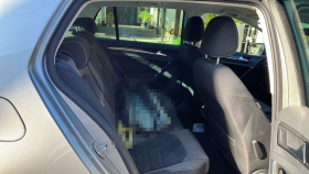 内装後方シート