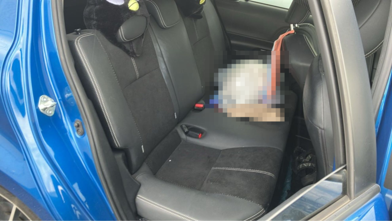 内装後方シート