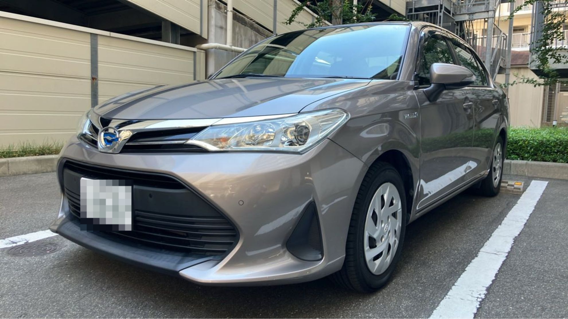 2025年9月成約のカローラアクシオ ハイブリッドのメイン画像