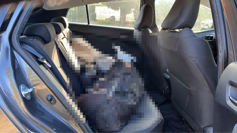 内装後方シート