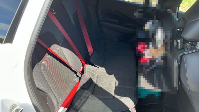 内装後方シート