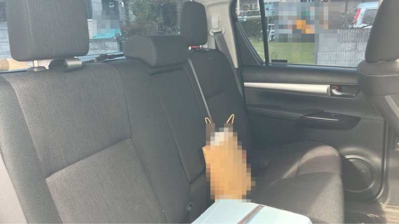 内装後方シート