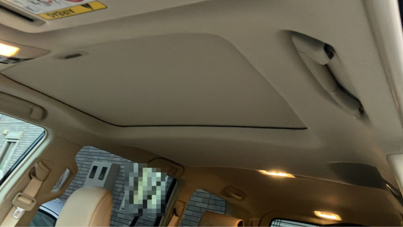 内装ルーフ
