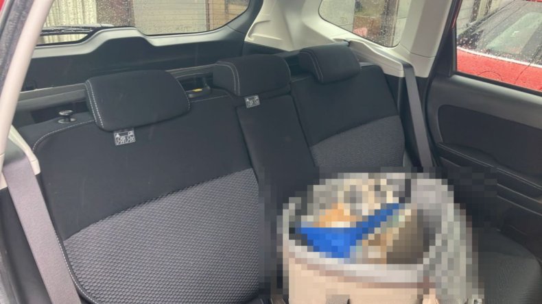 内装後方シート