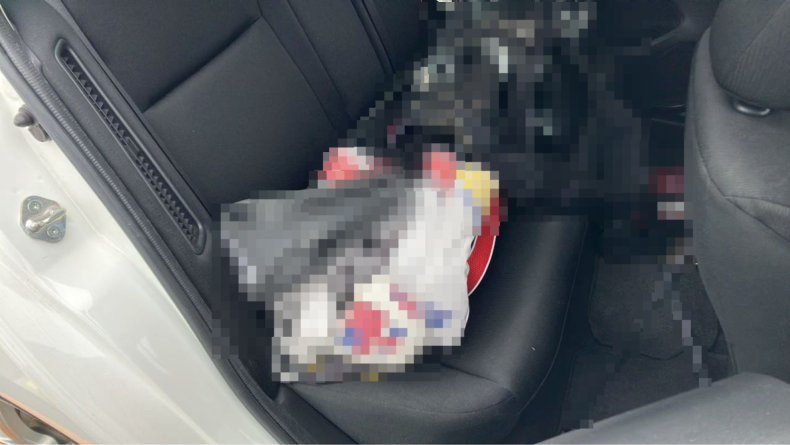 内装後方シート