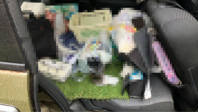 内装後方シート