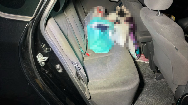 内装後方シート