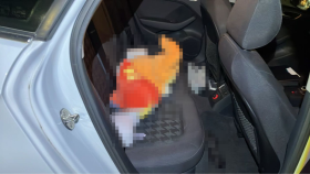 内装後方シート