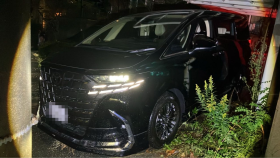 2025年11月14日成約のアルファードハイブリッド売買実績画像