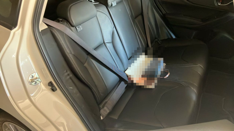 内装後方シート