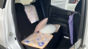 内装後方シート