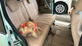 内装後方シート