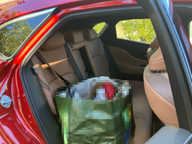 内装後方シート