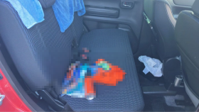 内装後方シート