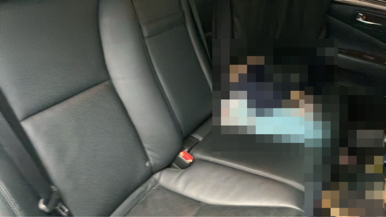 内装後方シート